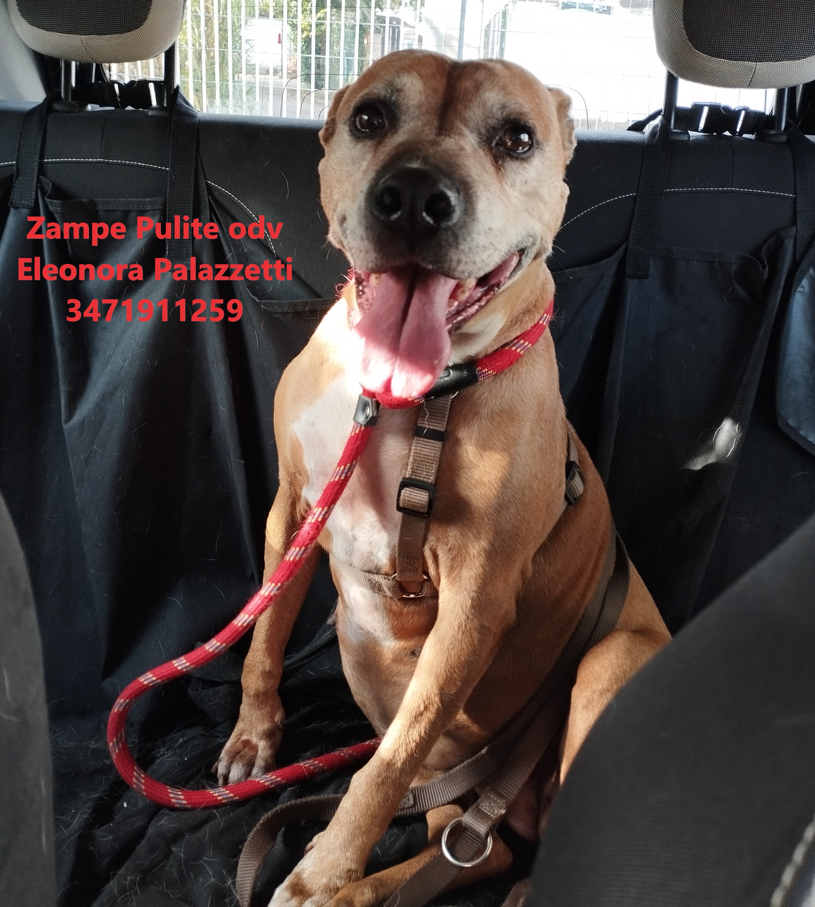 Bulla 23.09.2025 n. 1