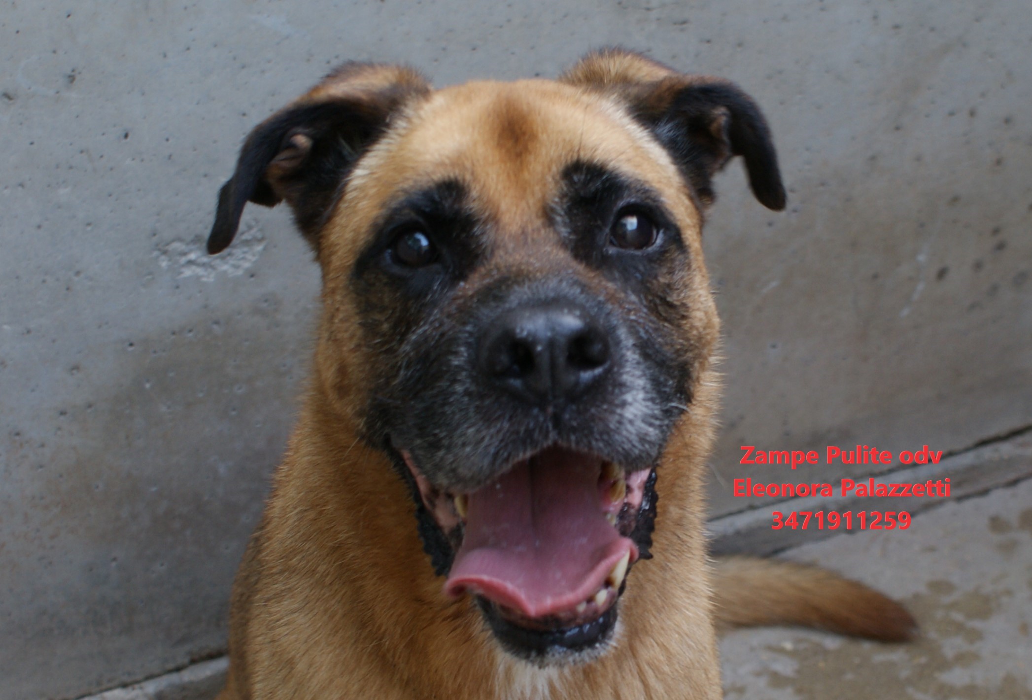 Dente 17.07.2025 n. 14