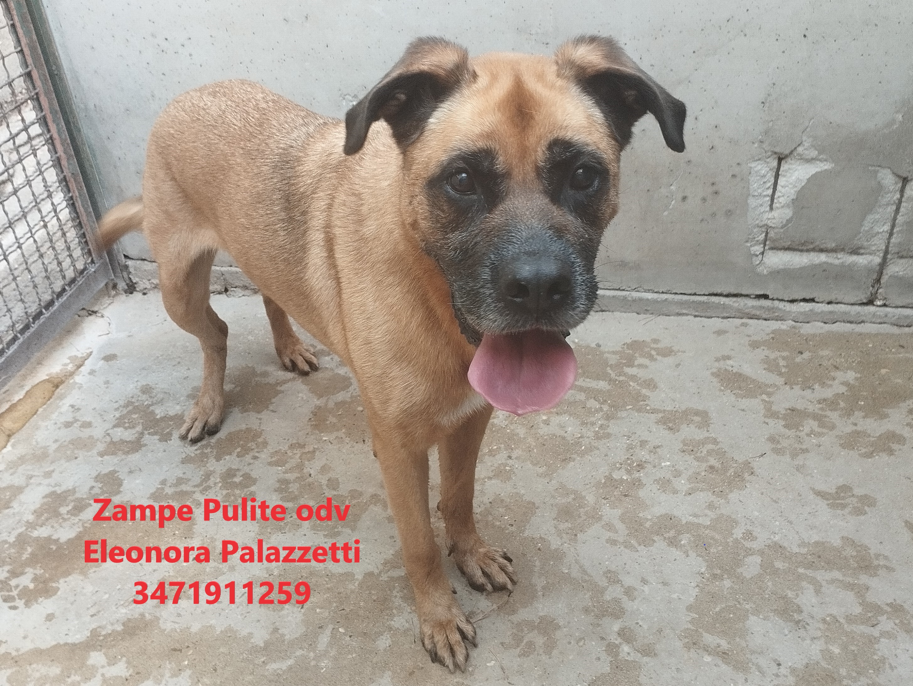 Dente 17.07.2025 n. 3