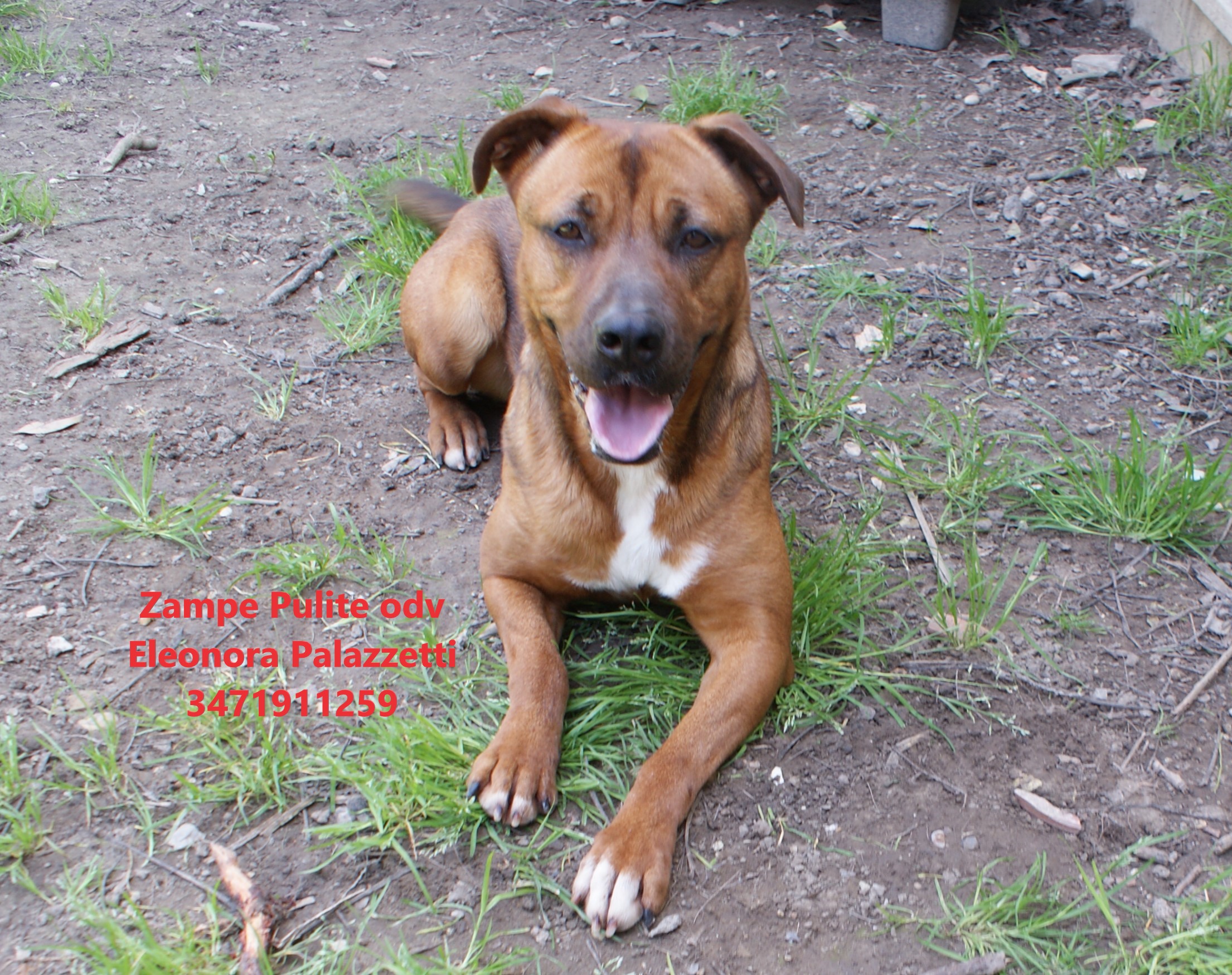 Donna 26.03.2025 n. 10