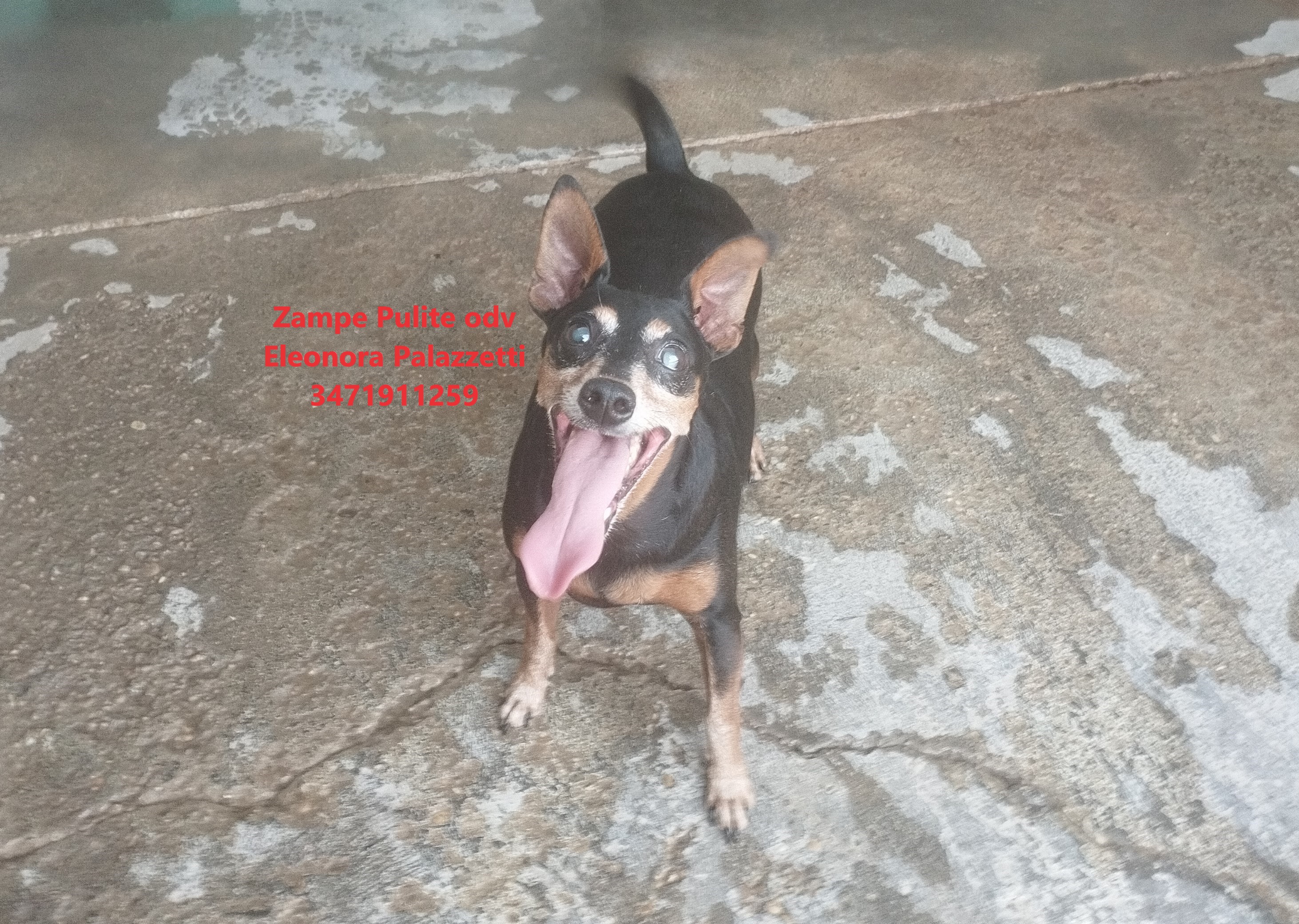 Gué 16.07.2025 n. 1