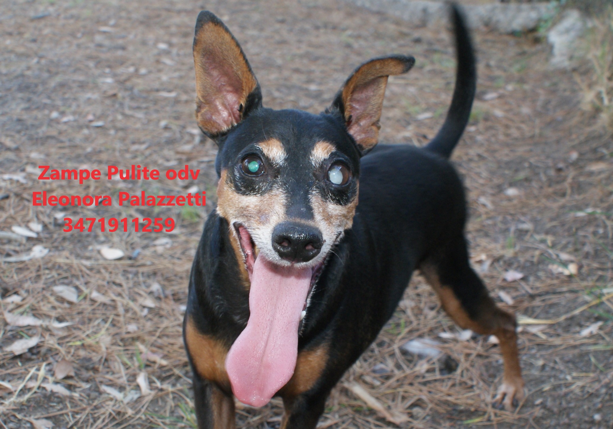 Gué 16.07.2025 n. 6