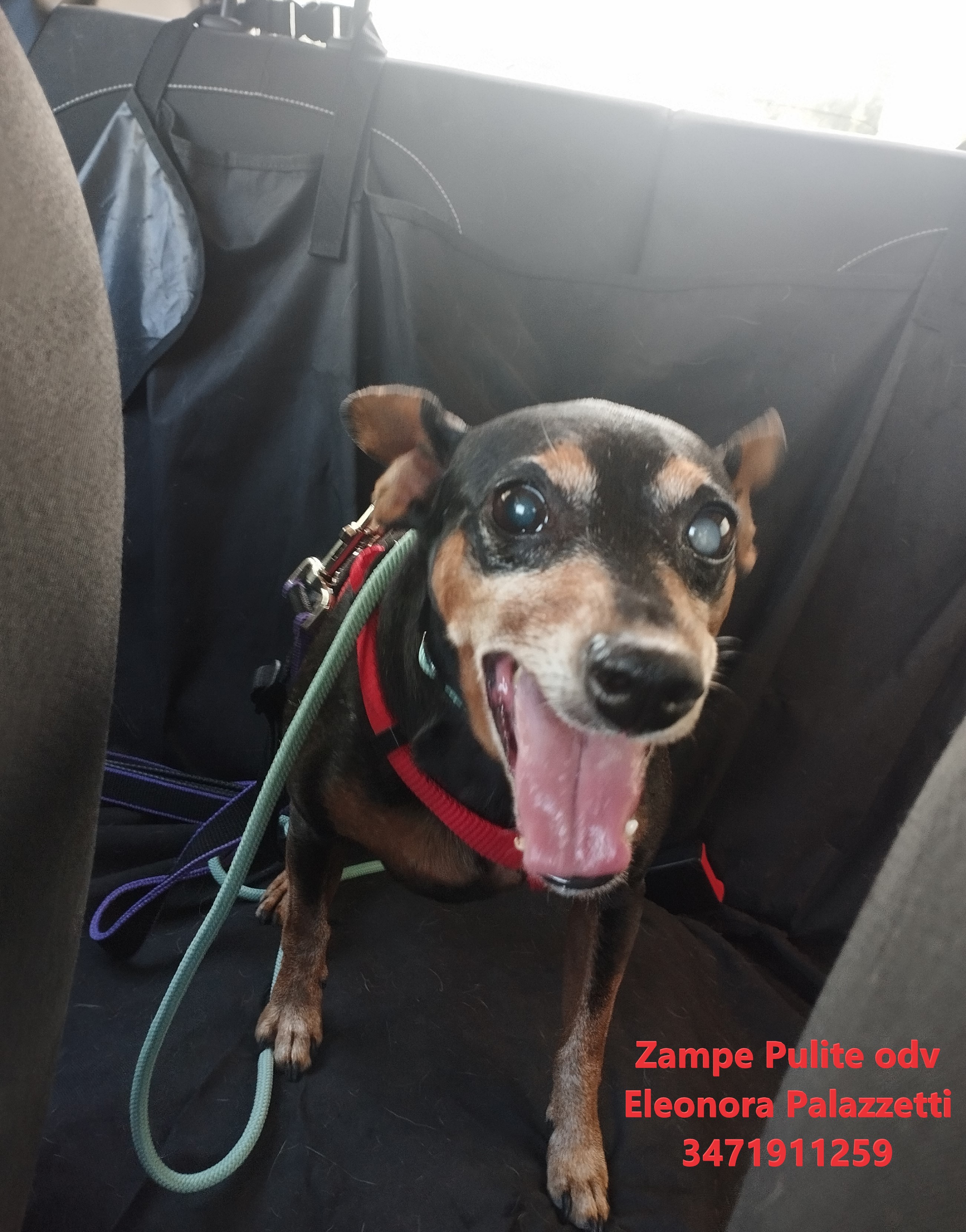 Gué 29.07.2025 n. 1