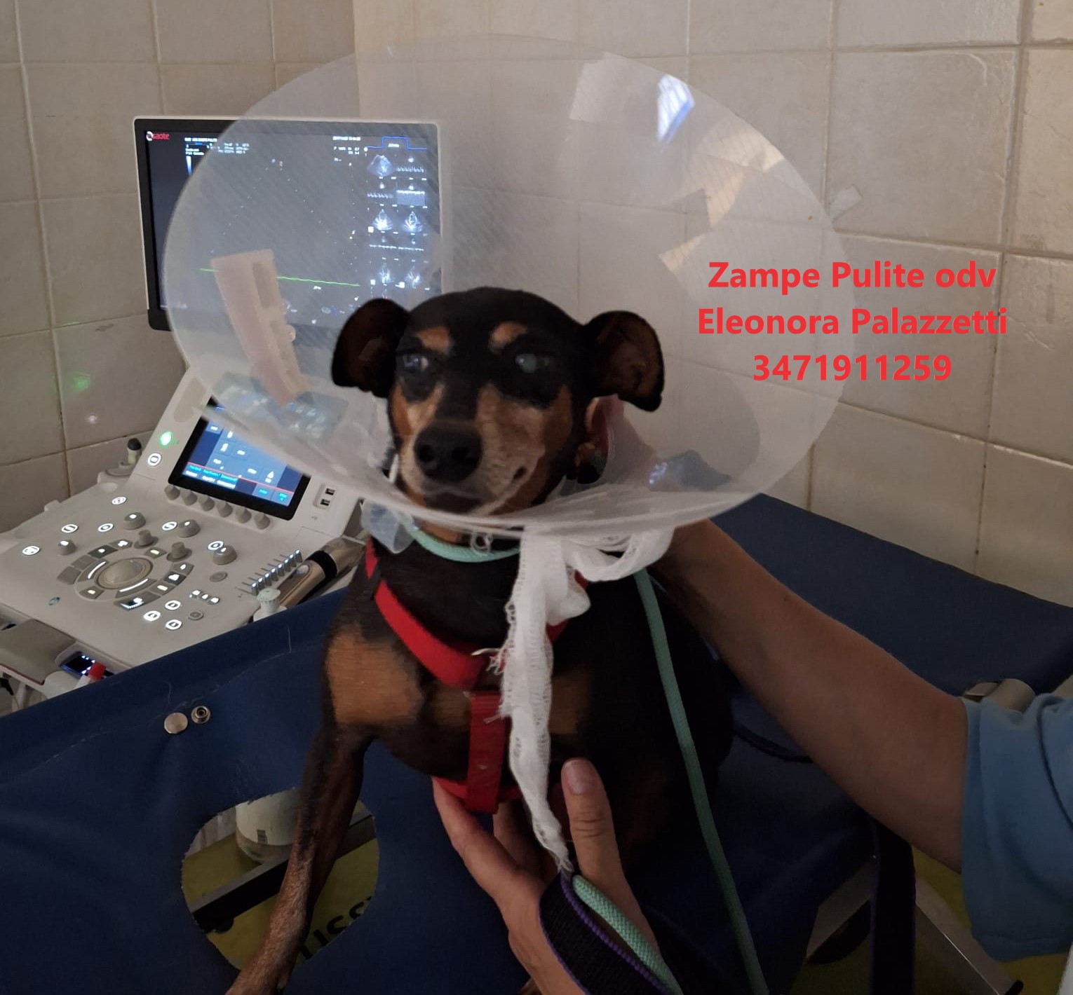 Gué 29.07.2025 n. 4