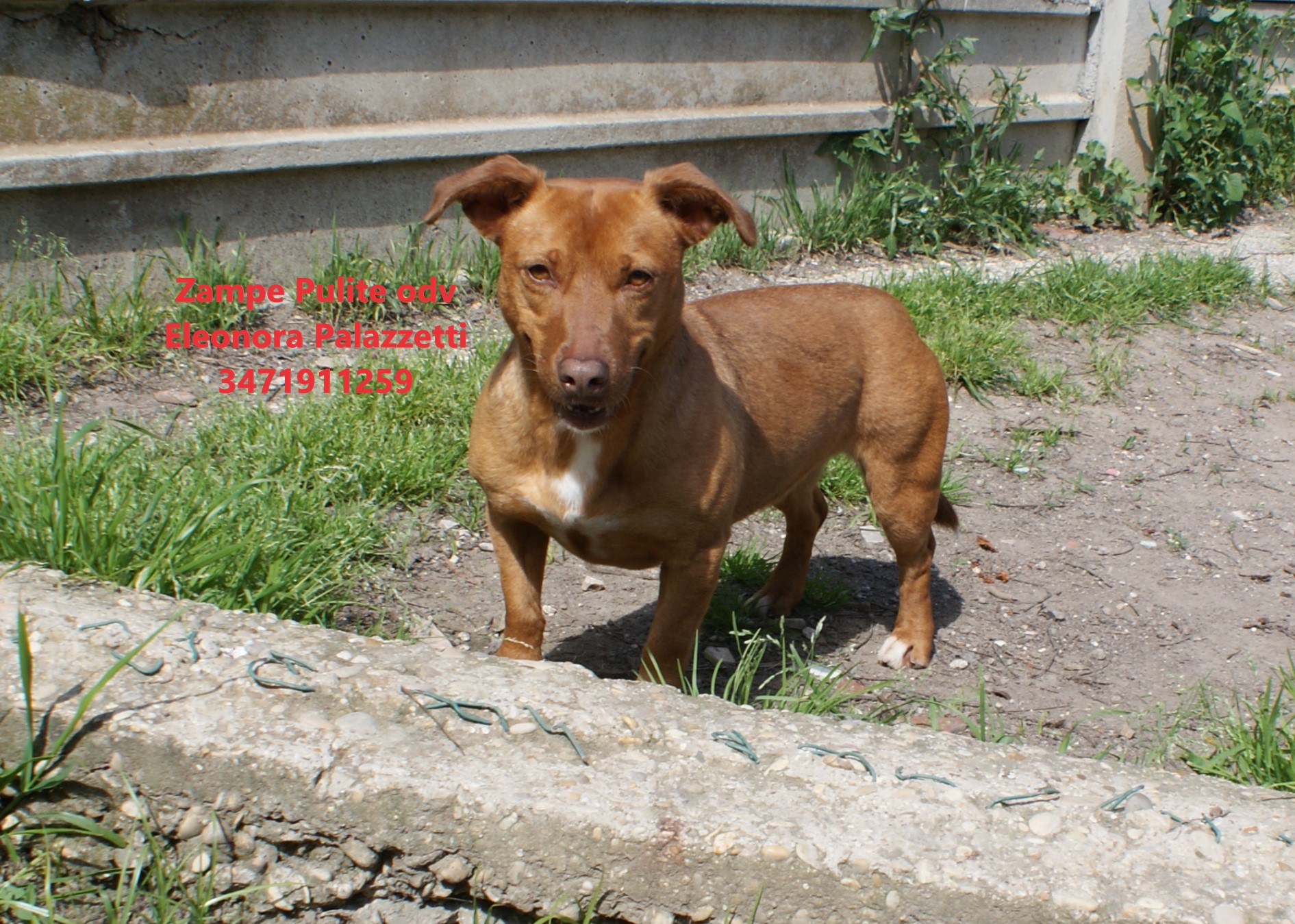 Trenina 26.03.2025 n. 9