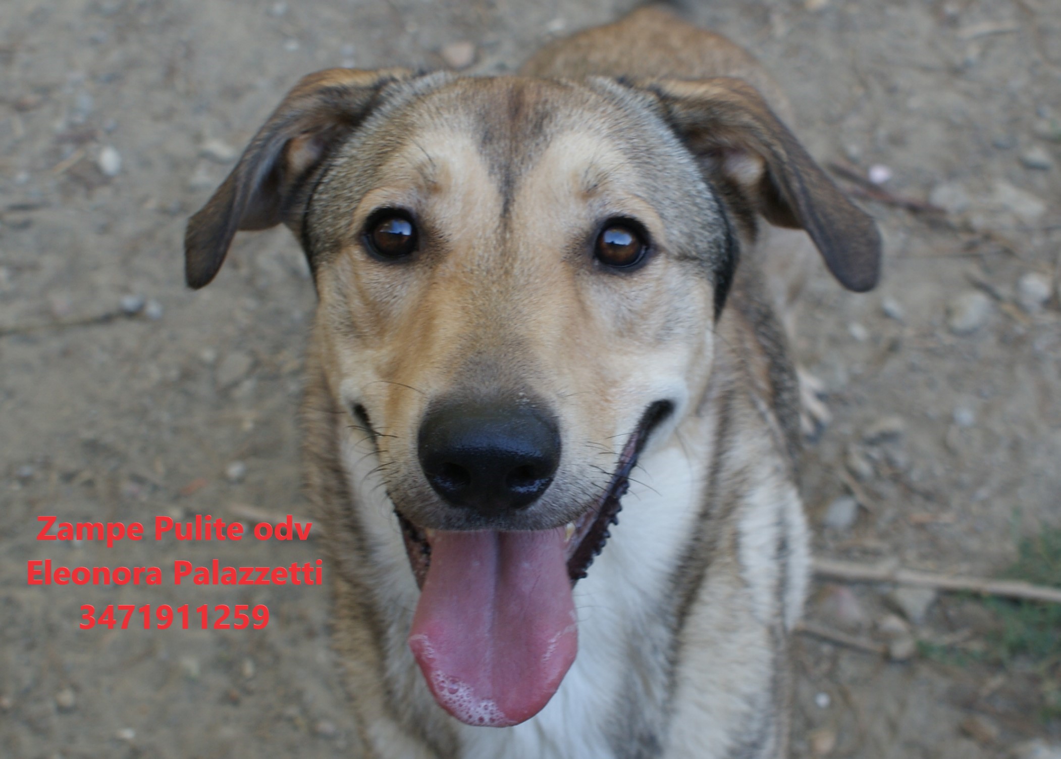 Billy 01.09.2026 n. 7