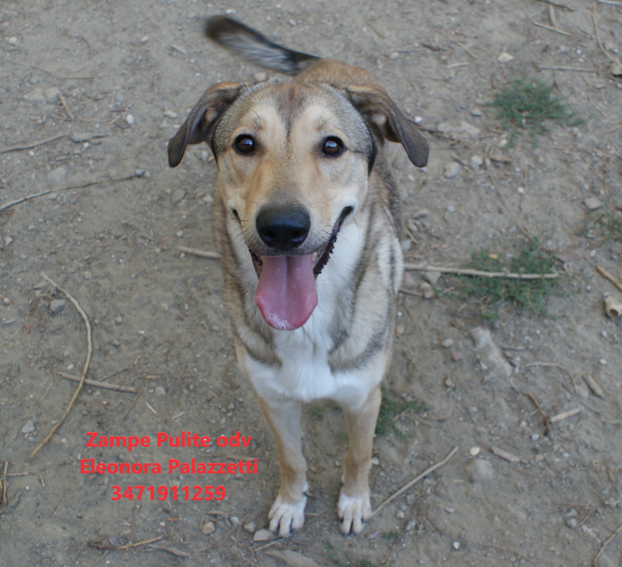 Billy 01.09.2026 n. 8
