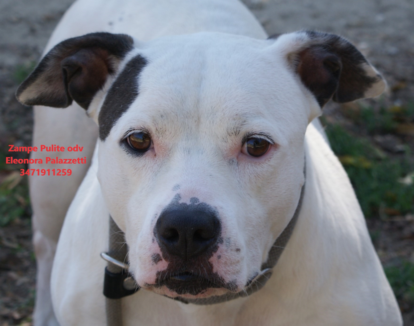 Cloe 19.09.2026 n. 10