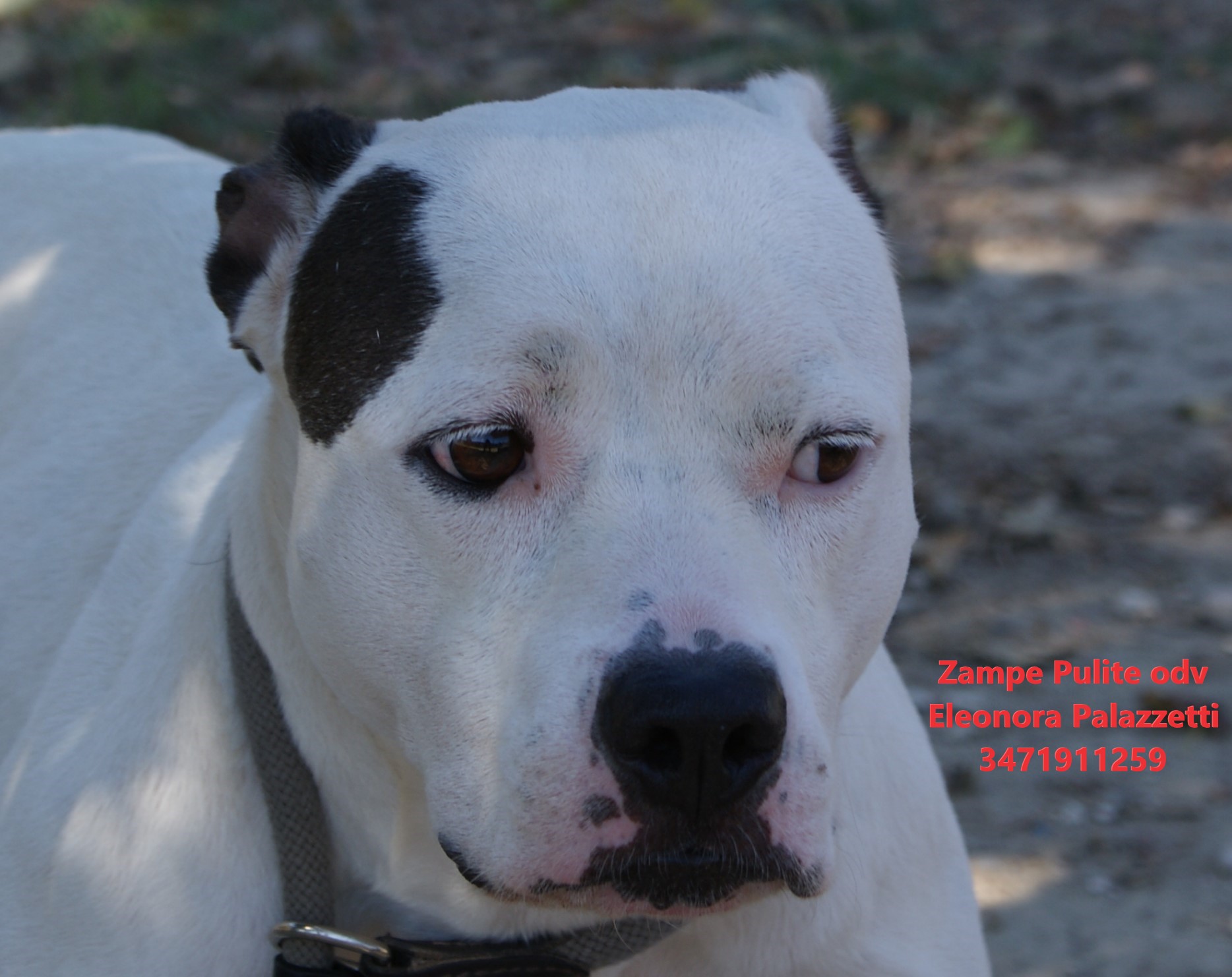 Cloe 19.09.2026 n. 5