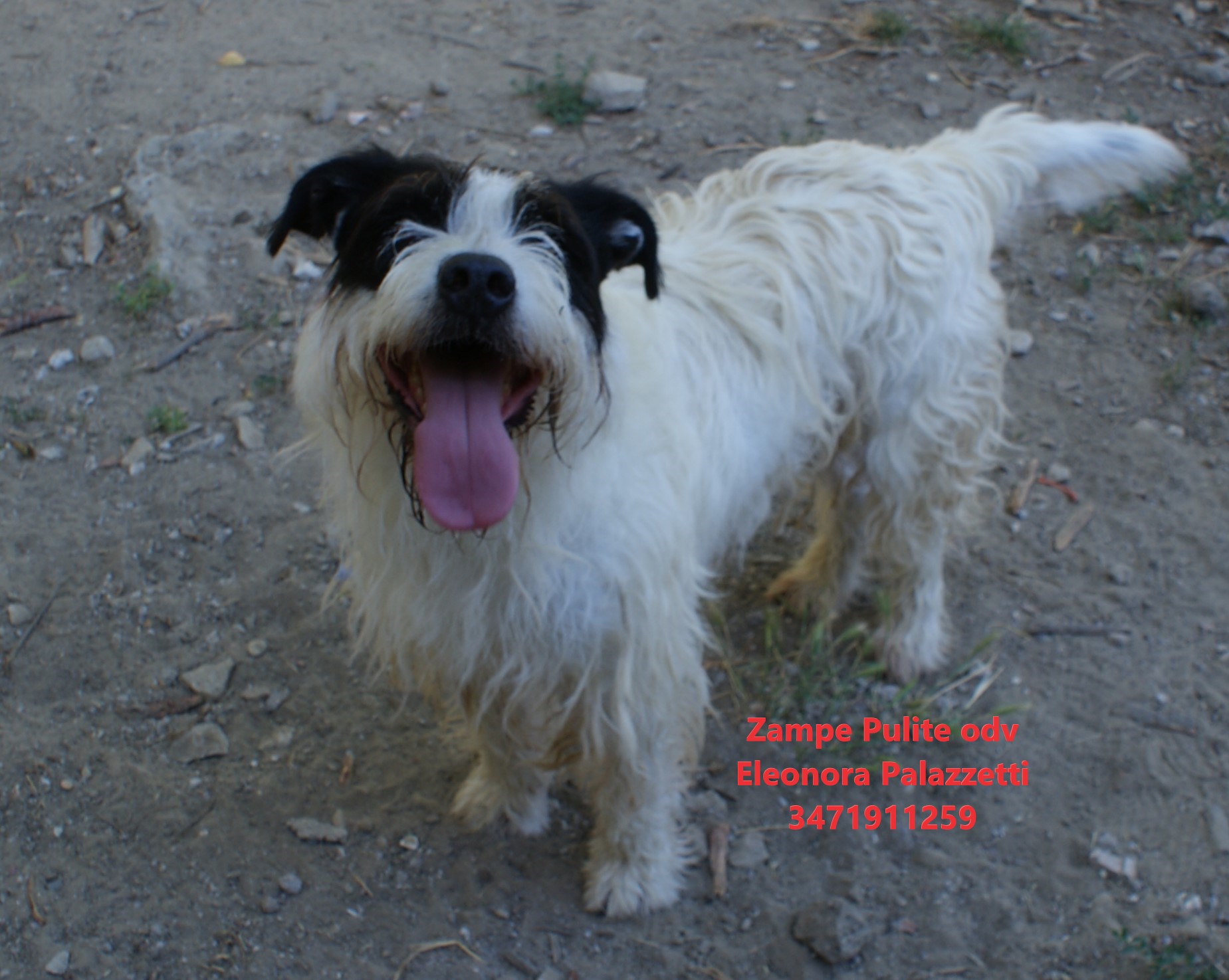 Watson 16.06.2026 n. 14